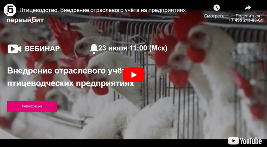 Видео с вебинара о птицефабриках